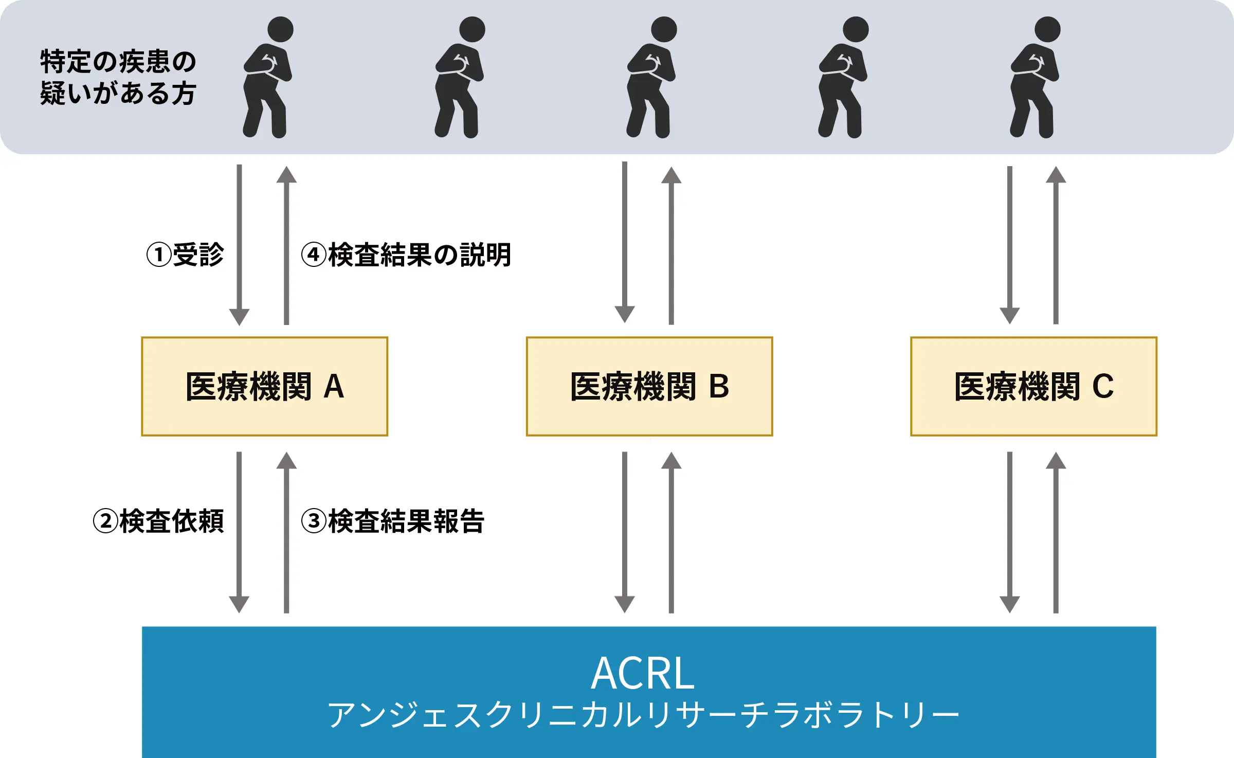 遺伝学的検査の流れ